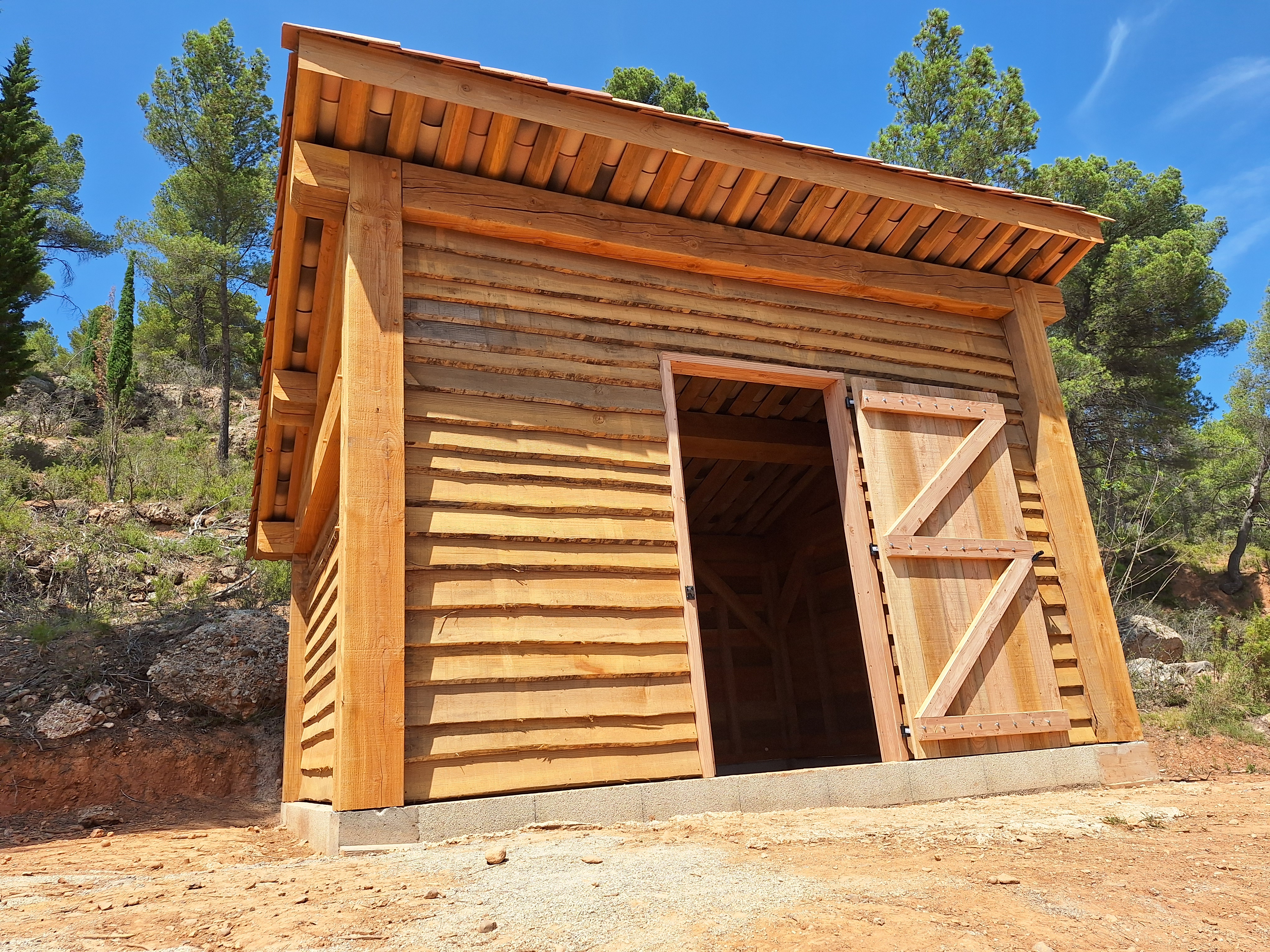 Abri en Douglas - image 2